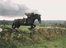 Ireland-Connemara/Galway-Cross Country Winter Escape